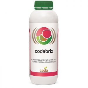 کدافوس کی - Coda phos K