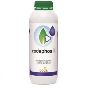 کدافوس کی - Coda phos K
