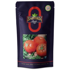 گوجه فرنگی فضای باز کاندیدا
