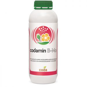 کداسال پریمیوم (کداسال پلاس 2000 سابق) - Codasal Premium