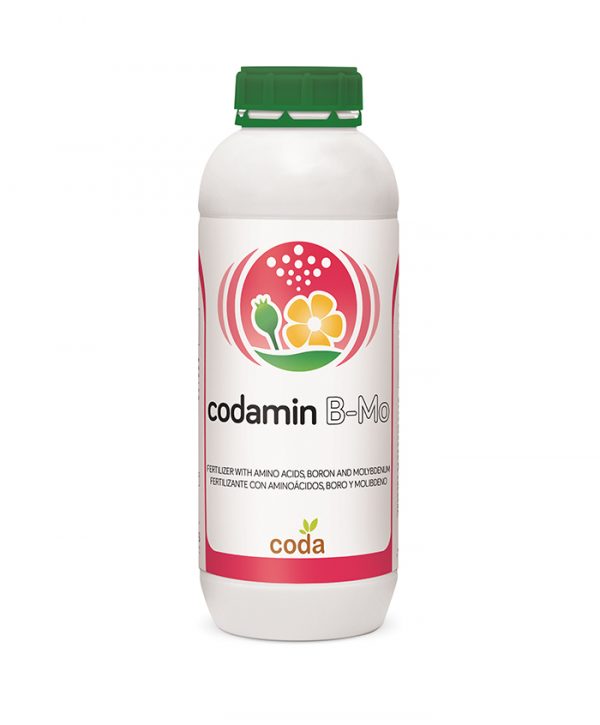 کداسال پریمیوم (کداسال پلاس 2000 سابق) - Codasal Premium