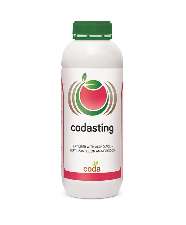 کداسال پریمیوم (کداسال پلاس 2000 سابق) - Codasal Premium