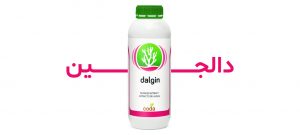 Dalgin-Cover-2
