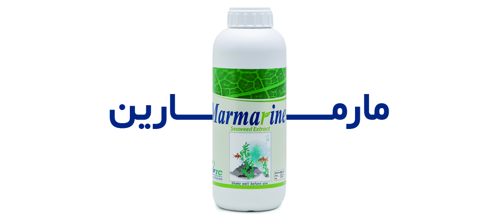 بررسی محلول پاشی عصاره جلبک دریایی (مارمارین) بر روی عملکرد و اجزای عملکرد کشت دوم ارقام