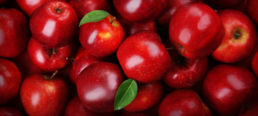 برنامه غذایی سیب