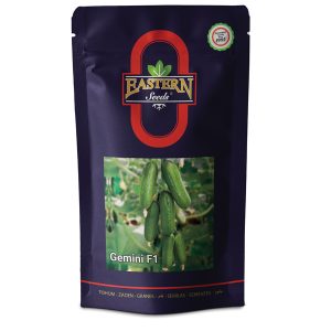 خیار گلخانه ای جمینی (مینی)