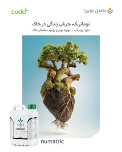 نوماتریک، راه حل فشردگی خاک